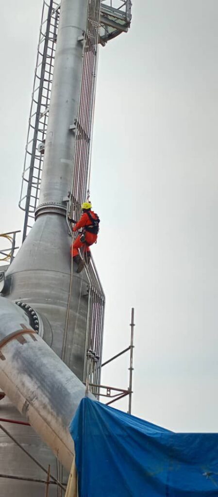 whatsapp image 2026 01 19 at 14.17.49