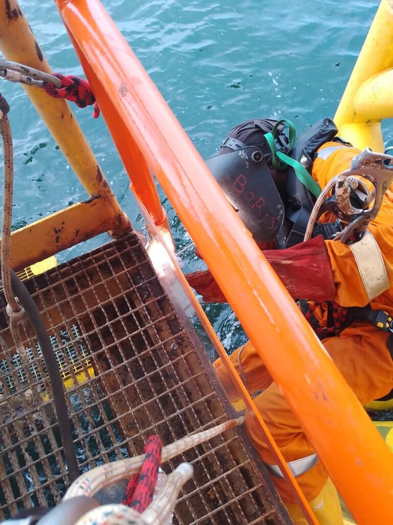 whatsapp image 2026 01 19 at 14.55.44