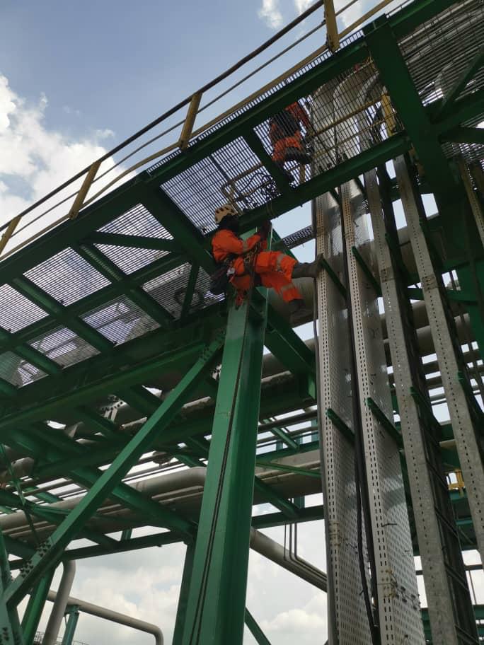 whatsapp image 2026 01 19 at 14ff.34.37